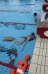 IMG 0459.JPG t-him