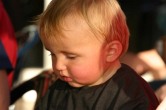 IMG 0726