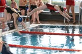 IMG 0736
