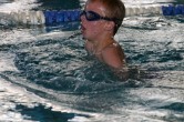 IMG 0782