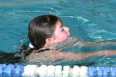 IMG 0794