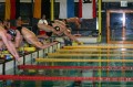IMG 0061