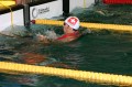 IMG 0064