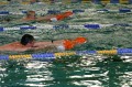IMG 0069
