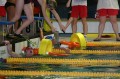 IMG 0085
